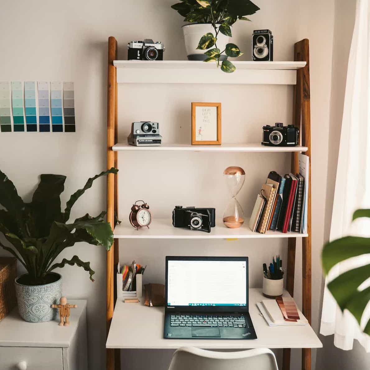 Work from home setup with open laptop on a desk, plants and wall shelf